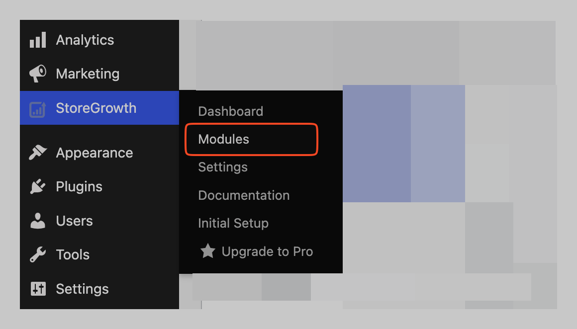 This image shows how to navigate to Modules in StoreGrowth