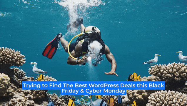StoreGrowth Team trying to find the best WordPress Black Friday & Cyber Monday deals